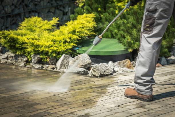 Best Animal Enclosure Cleaning  in Culloden, WV